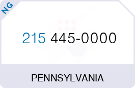 Buy Vanity Phone Number (215) 445-0000