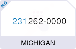 Buy Vanity Phone Number (231) 262-0000