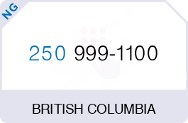Buy Vanity Phone Number (250) 999-1100