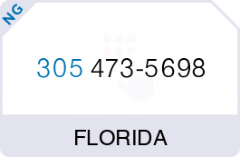 Buy Vanity Phone Number (305) 473-5698