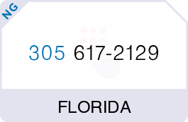 Buy Vanity Phone Number (305) 617-2129 Buy Vanity Phone Number (305) 617-2129