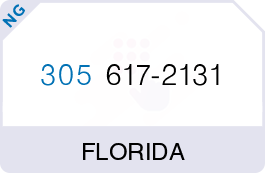 Buy Vanity Phone Number (305) 617-2131 Buy Vanity Phone Number (305) 617-2131