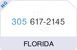 Buy Vanity Phone Number (305) 617-2145 Buy Vanity Phone Number (305) 617-2145