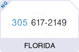 Buy Vanity Phone Number (305) 617-2149 Buy Vanity Phone Number (305) 617-2149