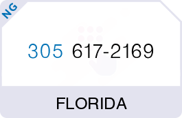 Buy Vanity Phone Number (305) 617-2169 Buy Vanity Phone Number (305) 617-2169