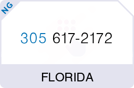 Buy Vanity Phone Number (305) 617-2172 Buy Vanity Phone Number (305) 617-2172