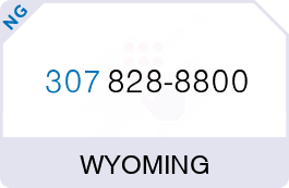 Buy Vanity Phone Number (307) 828-8800