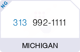 Buy Vanity Phone Number (313) 992-1111 Buy Vanity Phone Number (313) 992-1111