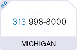 Buy Vanity Phone Number (313) 998-8000 Buy Vanity Phone Number (313) 998-8000