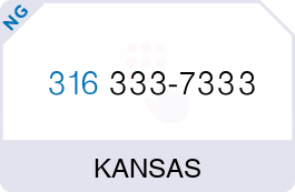 Buy Vanity Phone Number (316) 333-7333