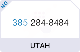Buy Vanity Phone Number (385) 284-8484
