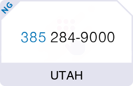 Buy Vanity Phone Number (385) 284-9000