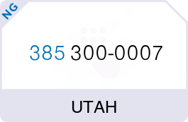 Buy Vanity Phone Number (385) 300-0007