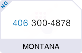 Buy Vanity Phone Number (406) 300-4878