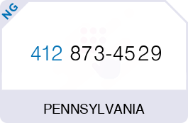 Buy Vanity Phone Number (412) 873-4529