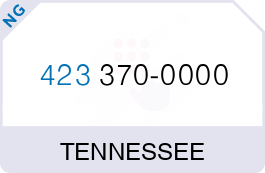 Buy Vanity Phone Number (423) 370-0000
