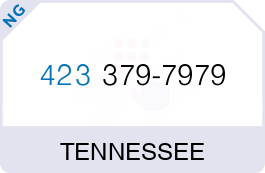 Buy Vanity Phone Number (423) 379-7979