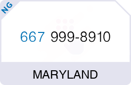 Buy Vanity Phone Number (667) 999-8910 Buy Vanity Phone Number (667) 999-8910
