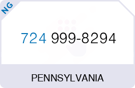 Buy Vanity Phone Number (724) 999-8294