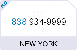 Buy Vanity Phone Number (838) 934-9999