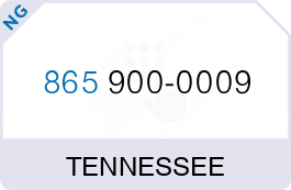 Buy Vanity Phone Number (865) 900-0009