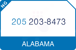 Buy Vanity Phone Number (205) 203-8473