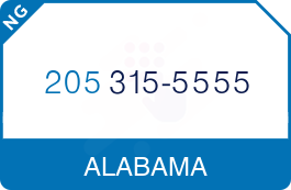 Buy Vanity Phone Number (205) 315-5555