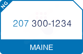 Buy Vanity Phone Number (207) 300-1234