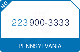 Buy Vanity Phone Number (223) 900-3333 Buy Vanity Phone Number (223) 900-3333