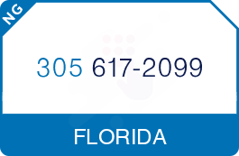 Buy Vanity Phone Number (305) 617-2099 Buy Vanity Phone Number (305) 617-2099