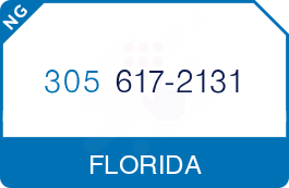 Buy Vanity Phone Number (305) 617-2131 Buy Vanity Phone Number (305) 617-2131