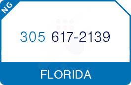 Buy Vanity Phone Number (305) 617-2139 Buy Vanity Phone Number (305) 617-2139