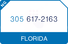 Buy Vanity Phone Number (305) 617-2163 Buy Vanity Phone Number (305) 617-2163