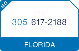 Buy Vanity Phone Number (305) 617-2188