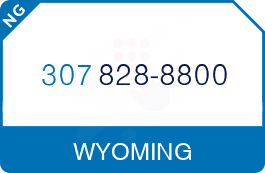 Buy Vanity Phone Number (307) 828-8800