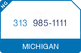 Buy Vanity Phone Number (313) 985-1111 Buy Vanity Phone Number (313) 985-1111
