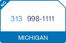 Buy Vanity Phone Number (313) 998-1111 Buy Vanity Phone Number (313) 998-1111