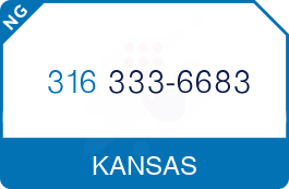 Buy Vanity Phone Number (316) 333-6683