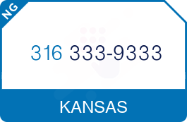 Buy Vanity Phone Number (316) 333-9333
