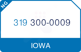 Buy Vanity Phone Number (319) 300-0009 Buy Vanity Phone Number (319) 300-0009
