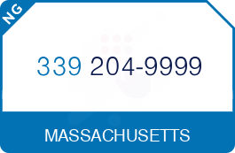 Buy Vanity Phone Number (339) 204-9999