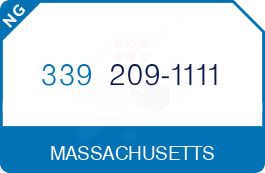 Buy Vanity Phone Number (339) 209-1111