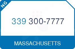 Buy Vanity Phone Number (339) 300-7777