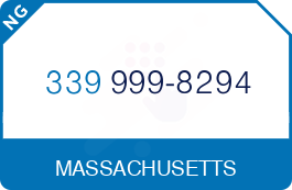 Buy Vanity Phone Number (339) 999-8294