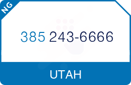 Buy Vanity Phone Number (385) 243-6666