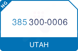 Buy Vanity Phone Number (385) 300-0006