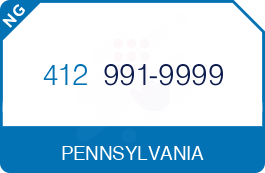 Buy Vanity Phone Number (412) 991-9999 Buy Vanity Phone Number (412) 991-9999
