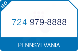 Buy Vanity Phone Number (724) 979-8888