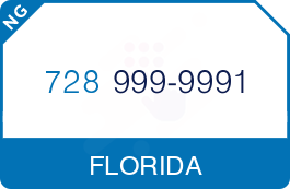 Buy Vanity Phone Number (728) 999-9991