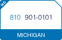 Buy Vanity Phone Number (810) 901-0101 Buy Vanity Phone Number (810) 901-0101